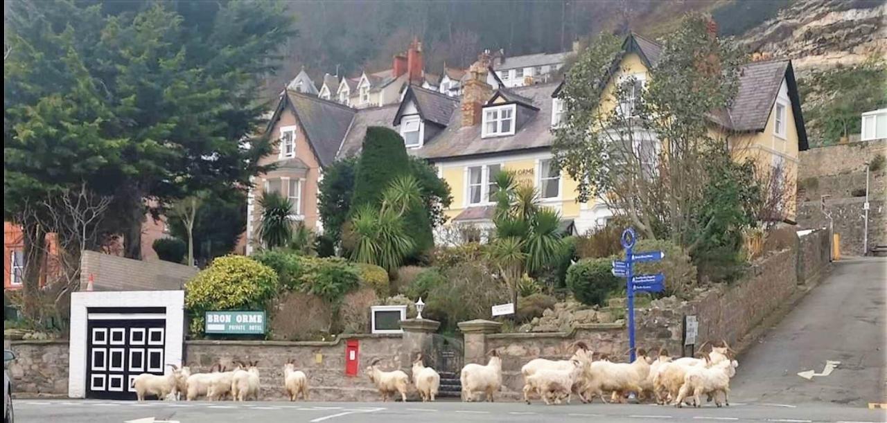 Bron Orme Private Hotel Llandudno Dış mekan fotoğraf